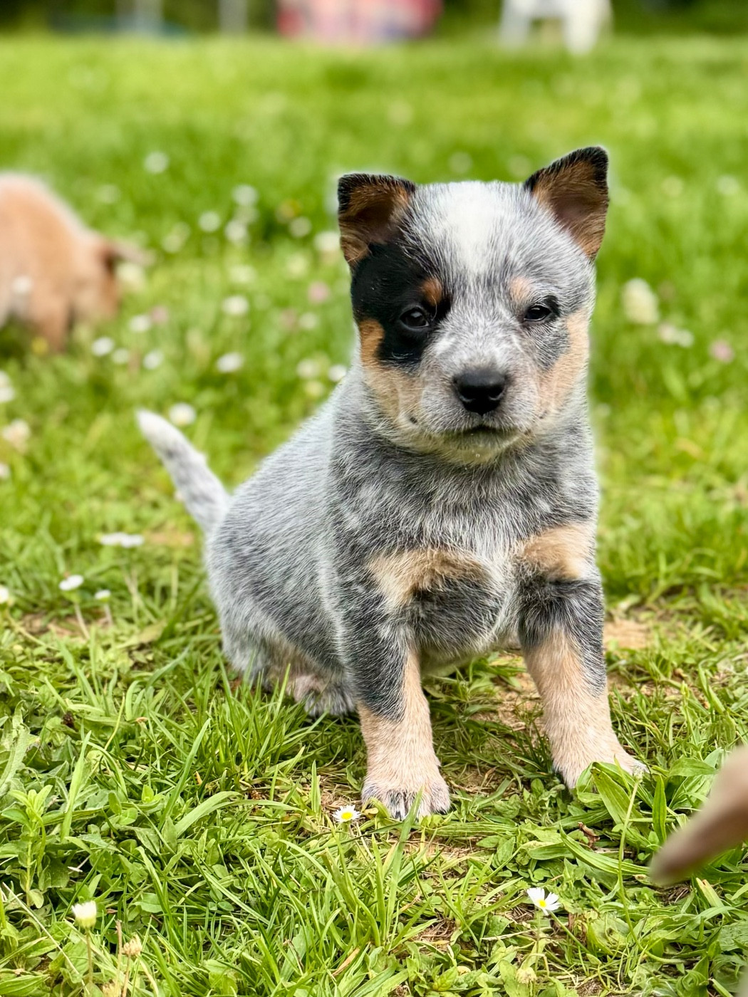 Aka Addicted to you Des Trésors De Méléa